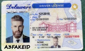 Delaware fake id