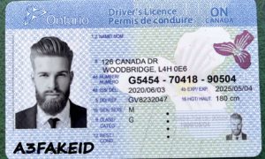Ontario fake id