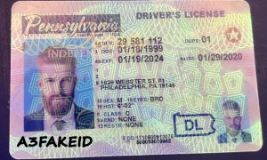 Pennsylvania fake id