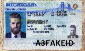 Michigan Fake ID